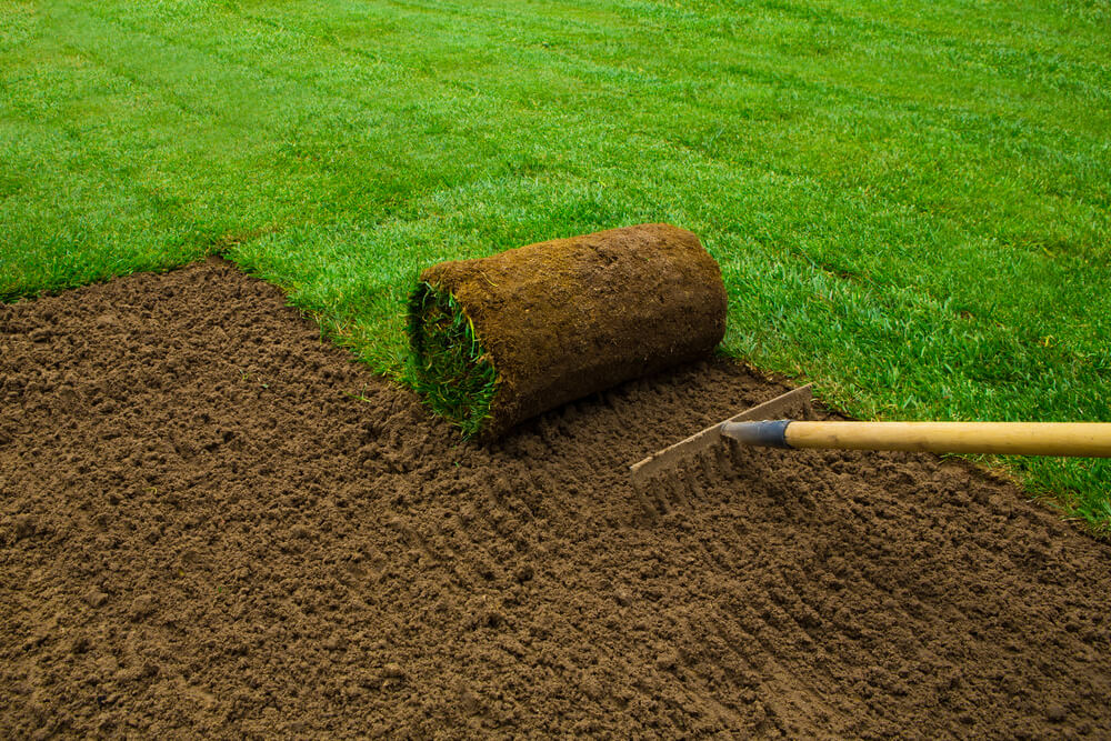 The 8 Most Frequently Asked Questions about Natural Turf and Their Answers